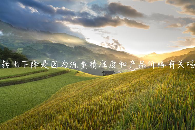 轉(zhuǎn)化下降是因?yàn)榱髁烤珳?zhǔn)度和產(chǎn)品價(jià)格有關(guān)嗎